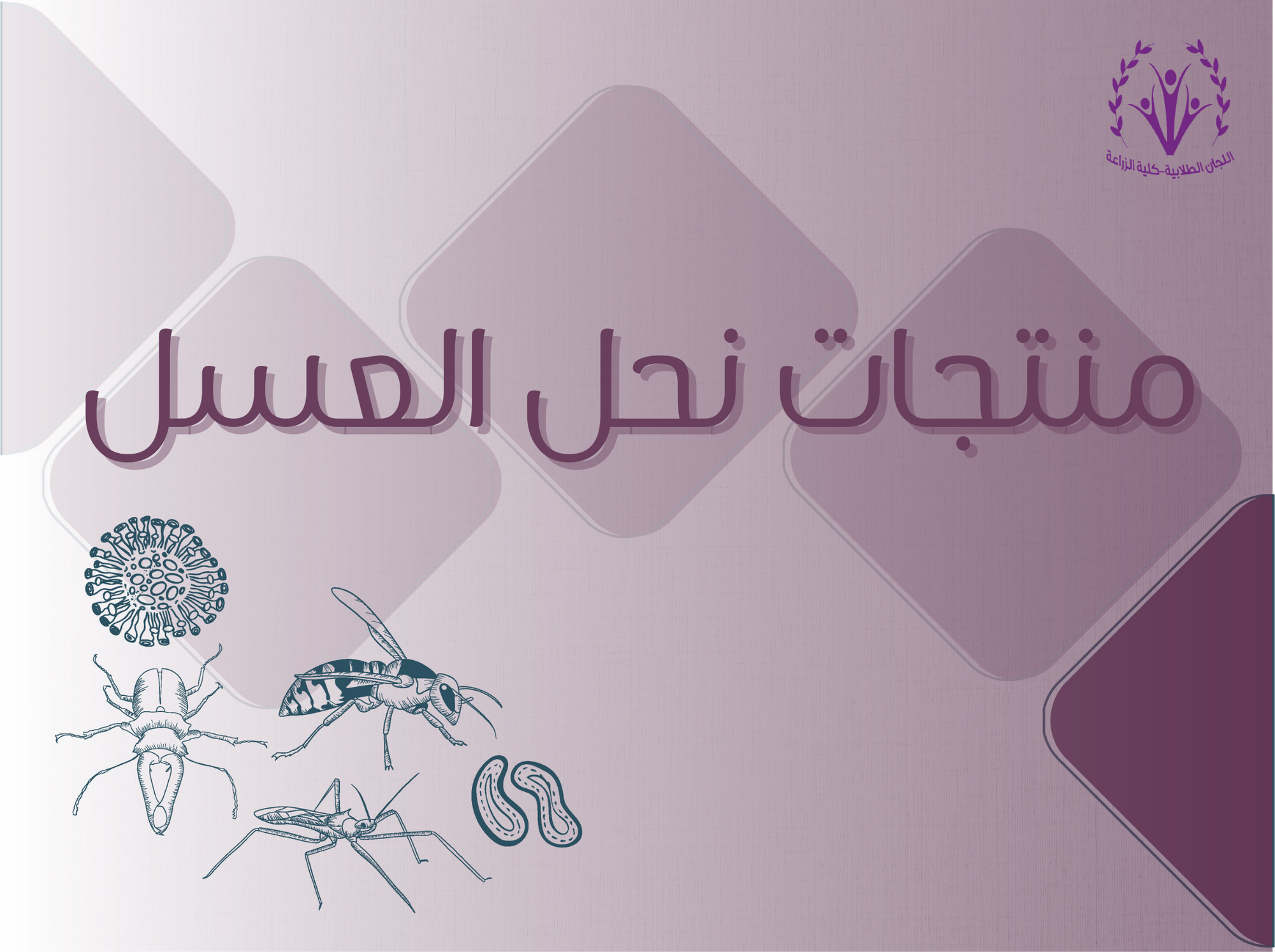 منتجات نحل العسل