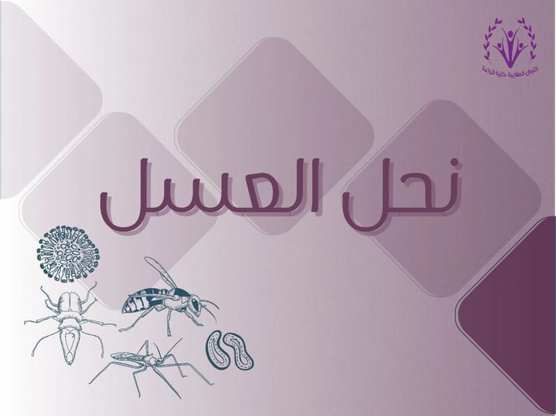 تربية نحل العسل 🍯🐝