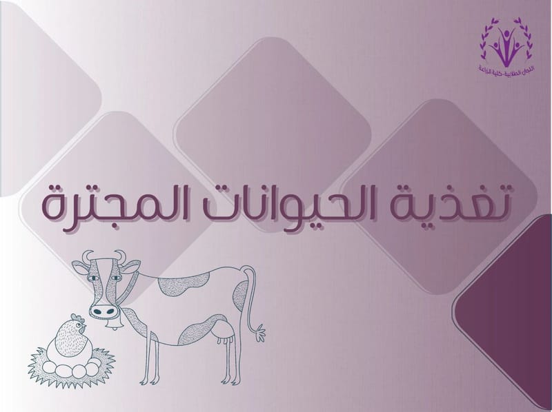 تغذية الحيوانات المجترة