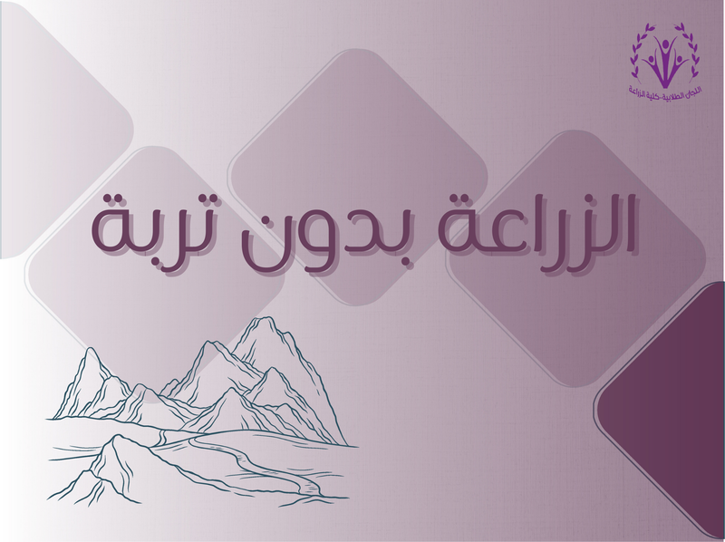 الزراعة بدون تربة
