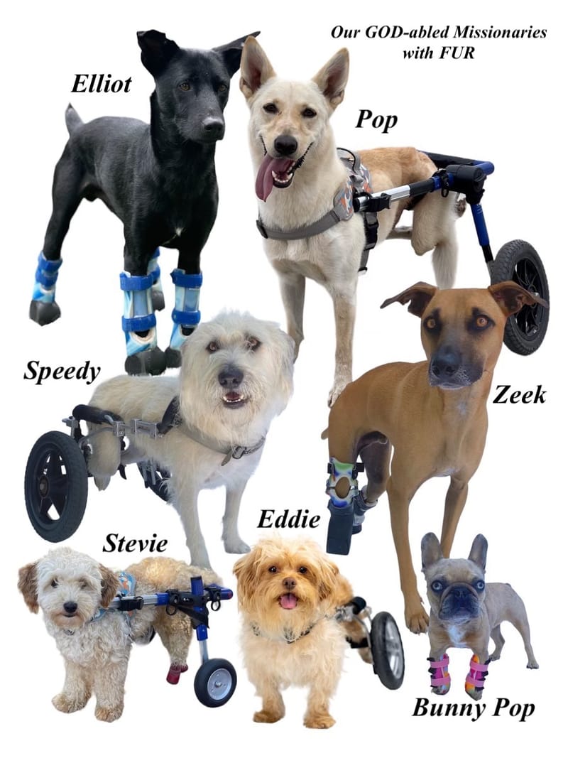 $1,000.00 MISSIONARIES W/FUR