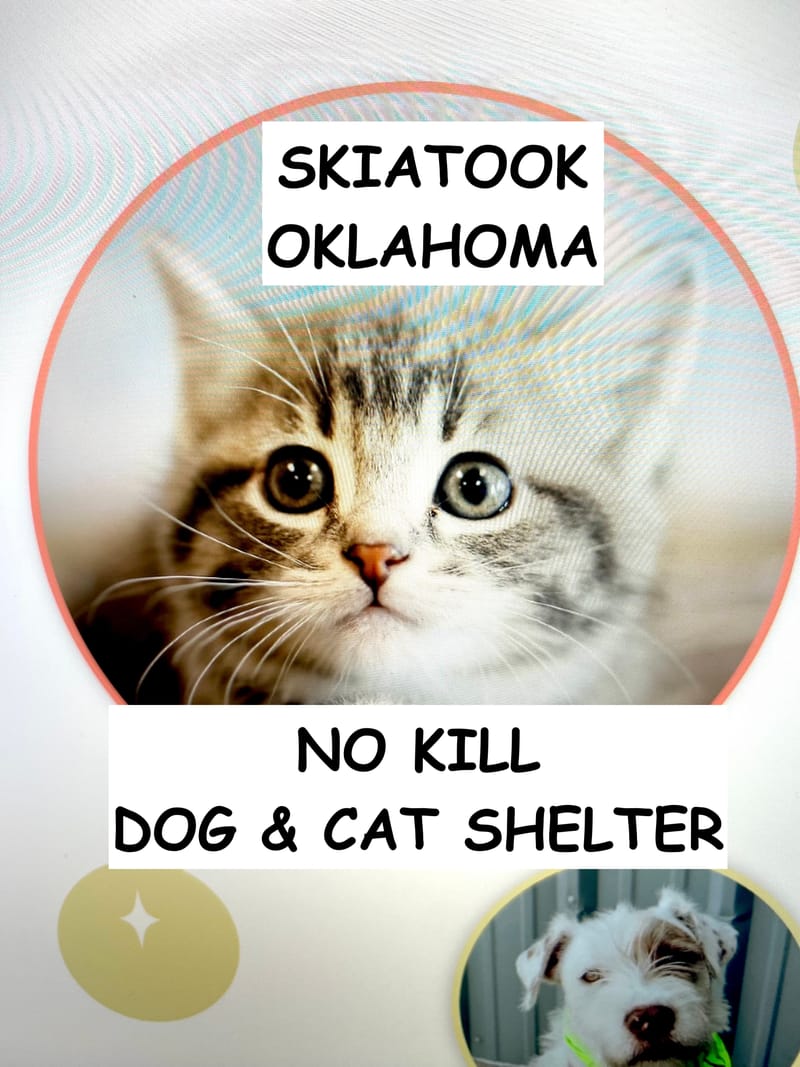 $114.00 SKIATOOK CAT & DOG NO KILL SHELTER