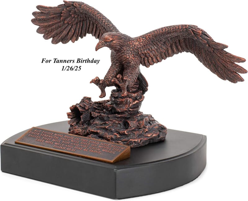 $68 Tanner (TeamLeader) B/day