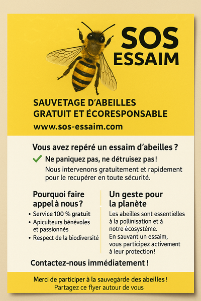 L&#039;info du mois image