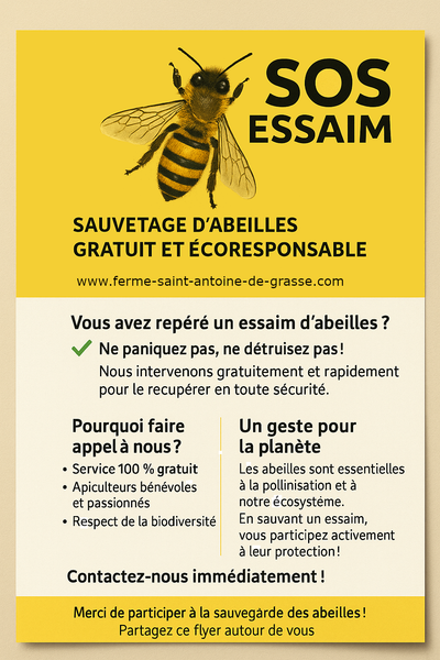 L'info du mois image