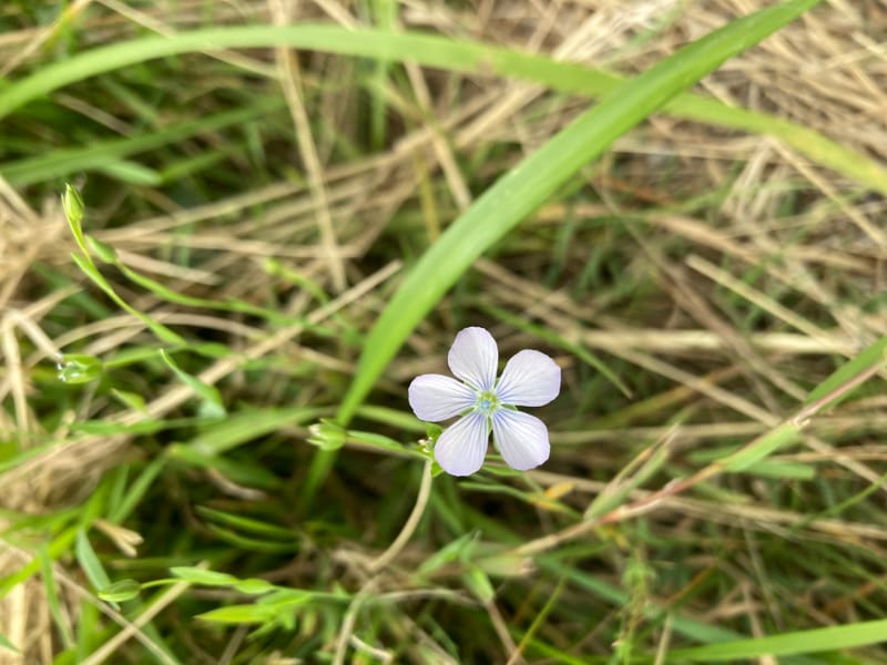 Strömnachmittag 1.9.24