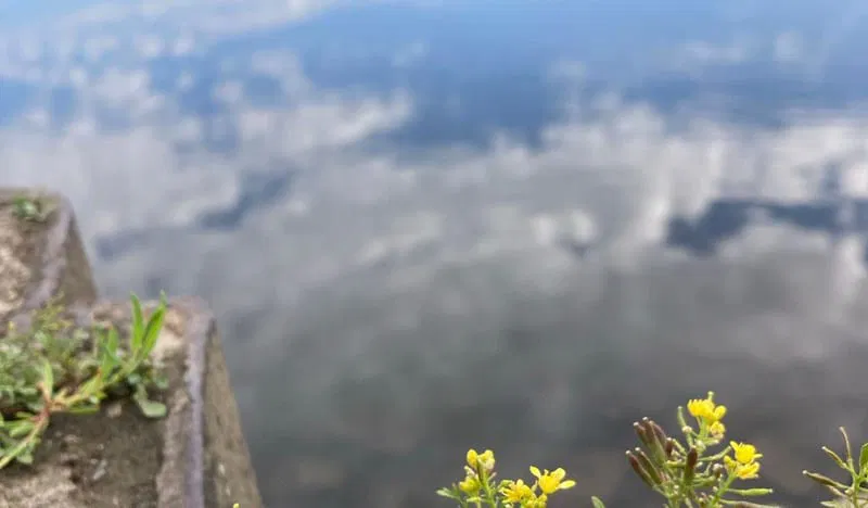 Ein Versuch: Newsletter im Blog