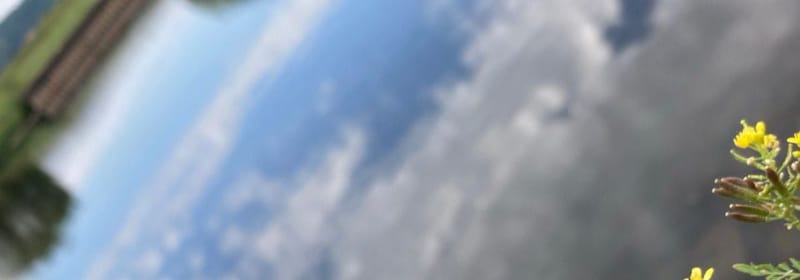 Newsletter: ♡ Jin Shin Jyutsu und der Mut im September ♡