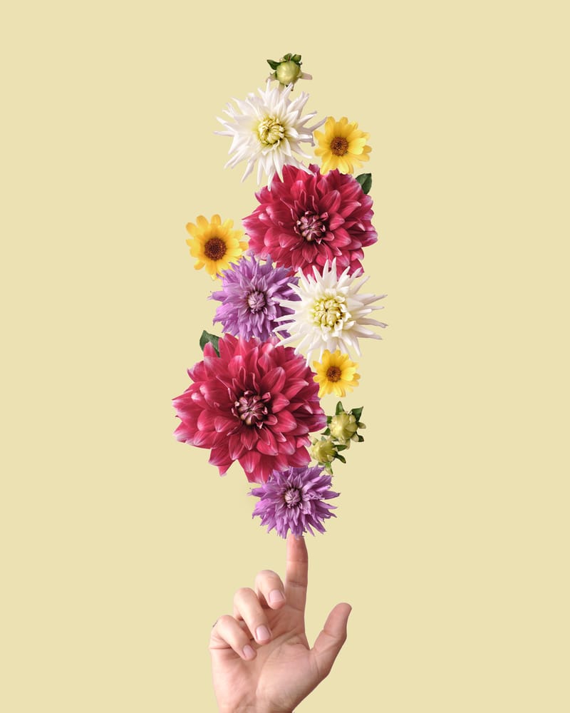 Kostenloser Strömabend im Grünen