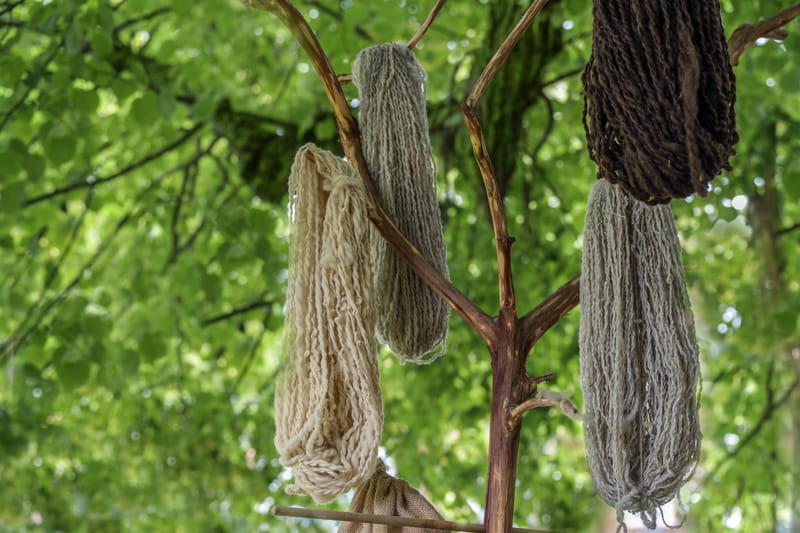 Wool Wellness UK