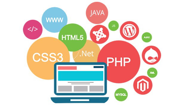 Best website development Services USA