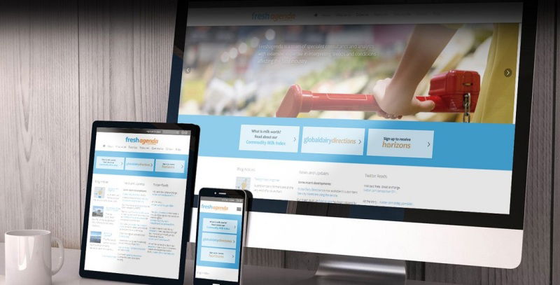 Best Web Development Company In Bhubaneswar