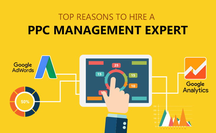 Professional PPC Management