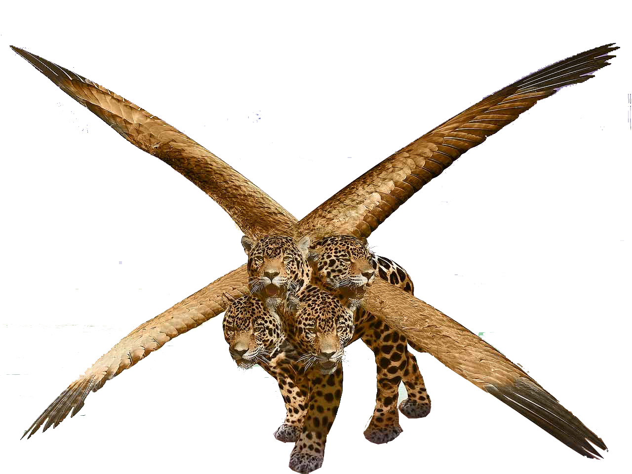 Related image
