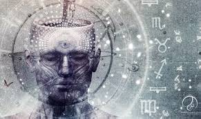 Image result for pictures of pineal gland