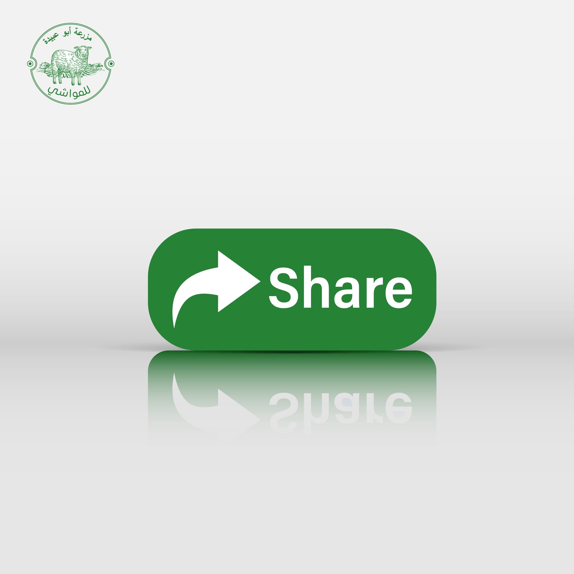 مزرعة أبو عبيدة للمواشي