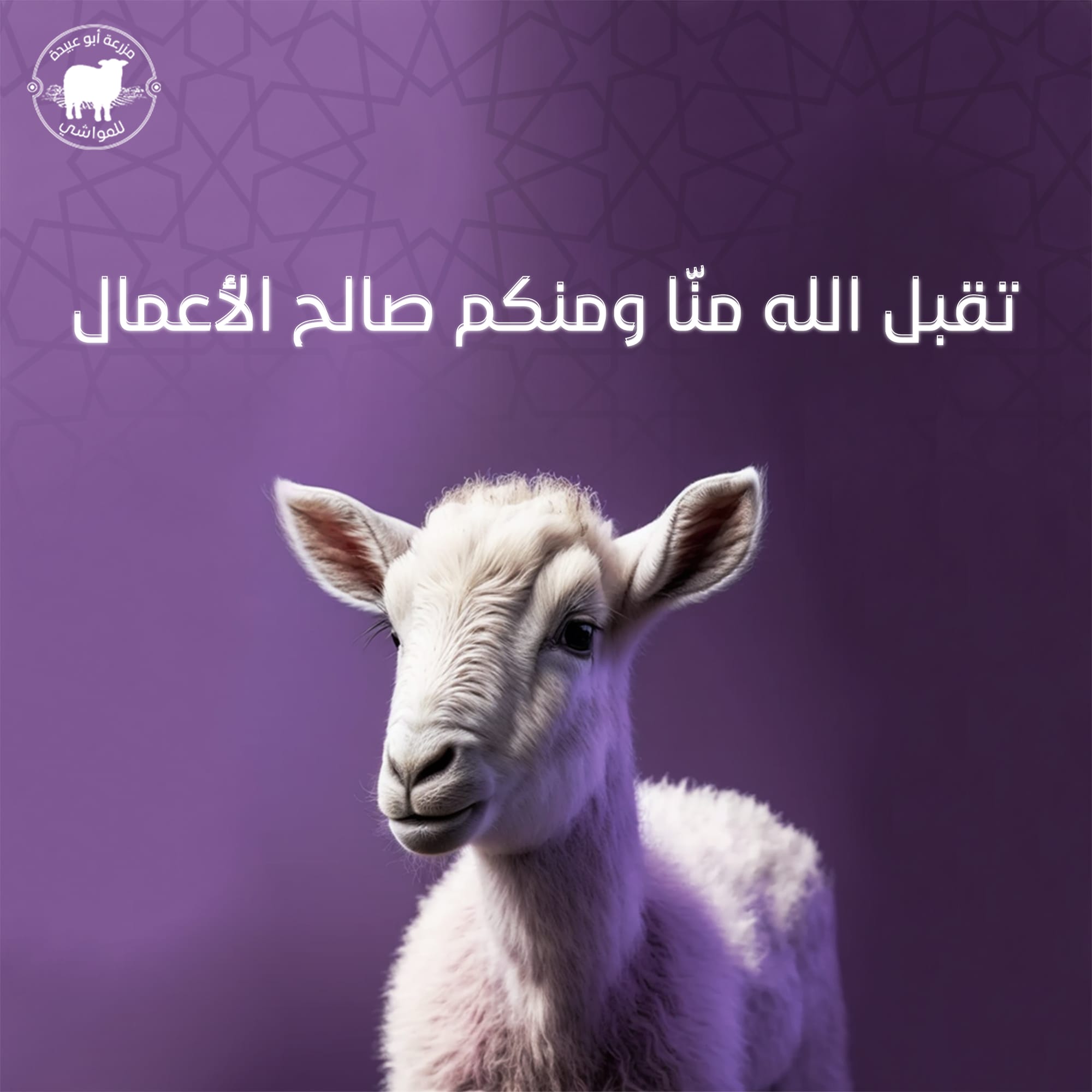 مزرعة أبو عبيدة للمواشي