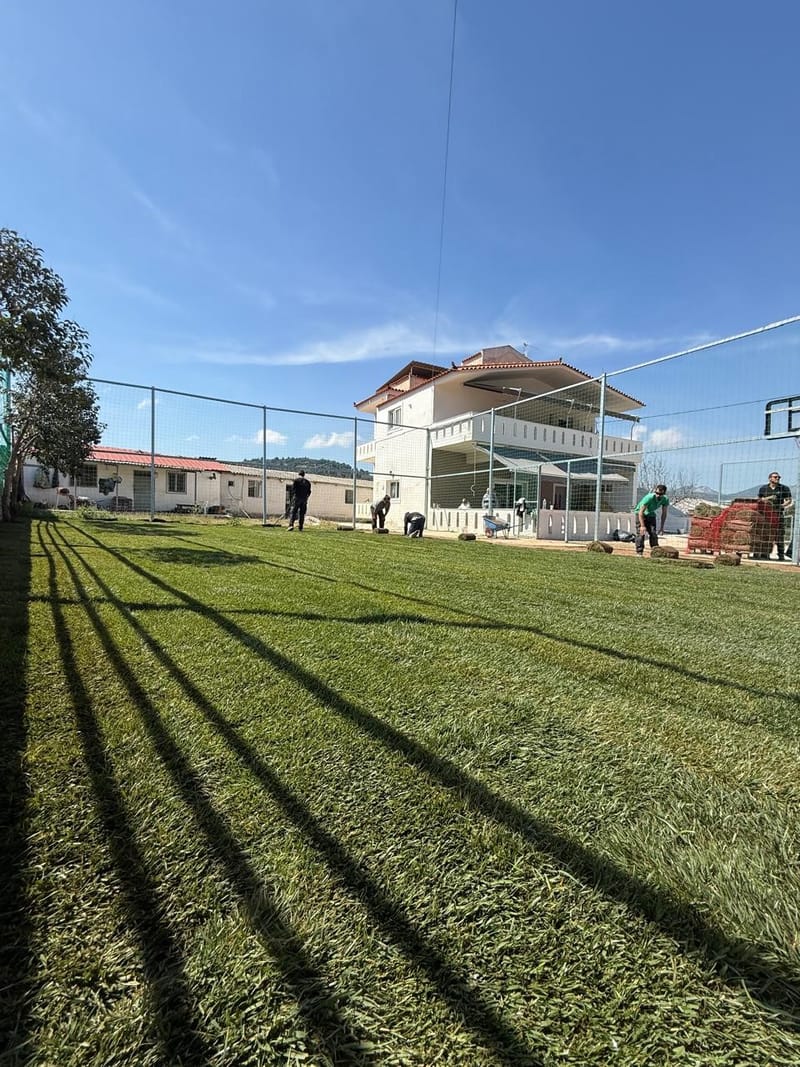 🌿 Ευχαριστούμε Agreenation! 🌱