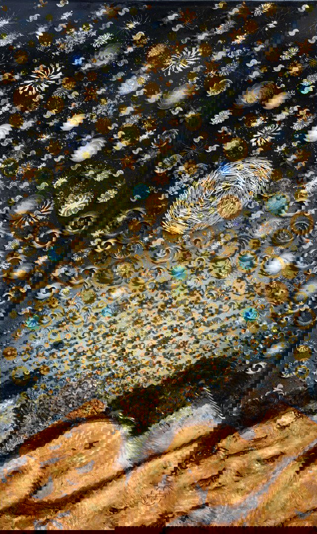 Jaillissement stellaire  (2025)