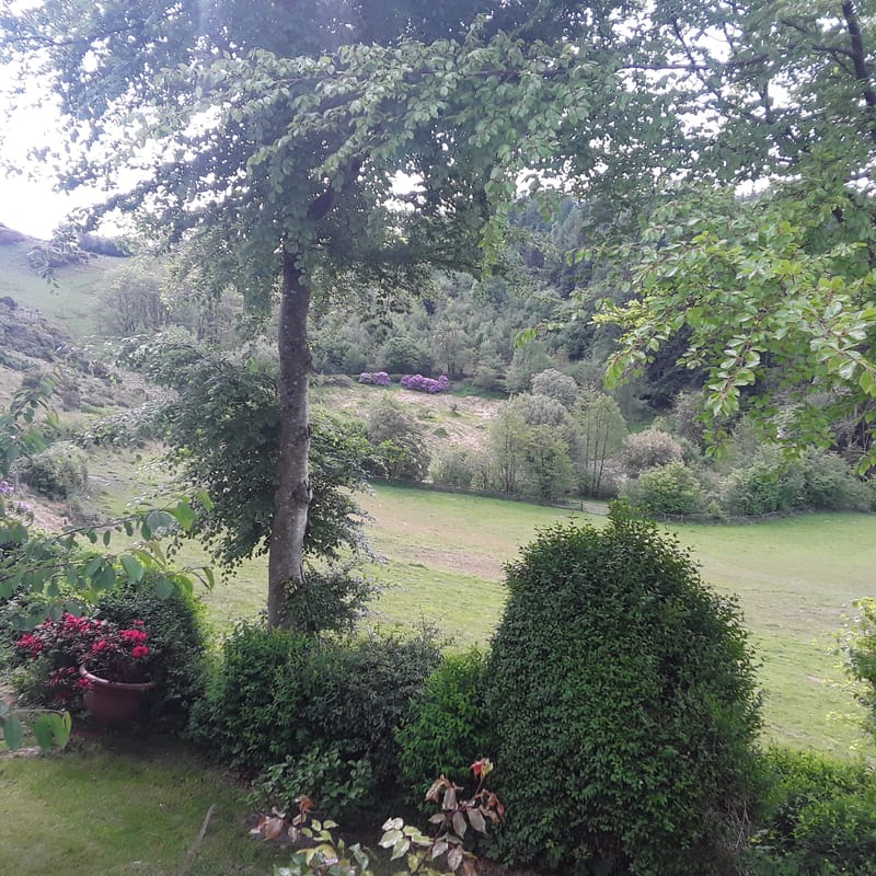 A day in nature celebrating the summer solstice.