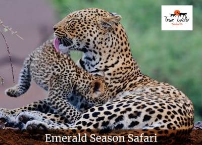 APRIL 2026 NEWSLETTER