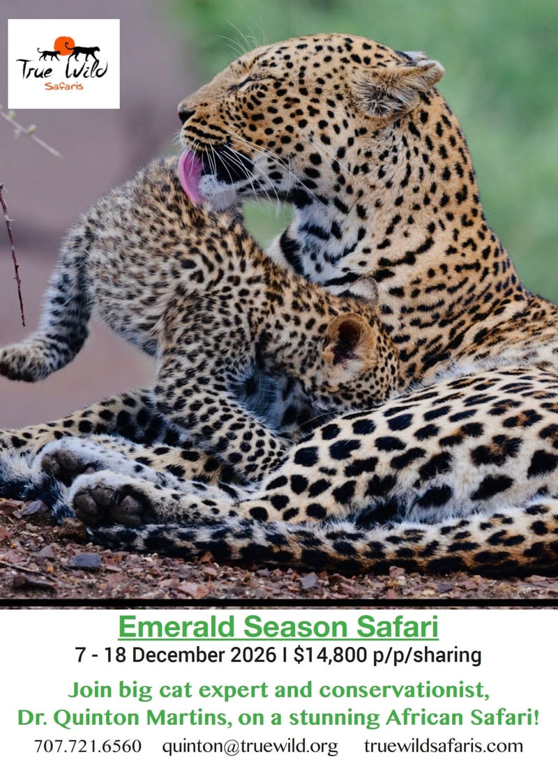 Special Themed Safaris