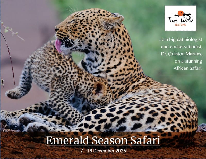 Special Themed Safaris