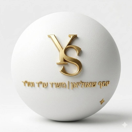 הצהרת נגישות