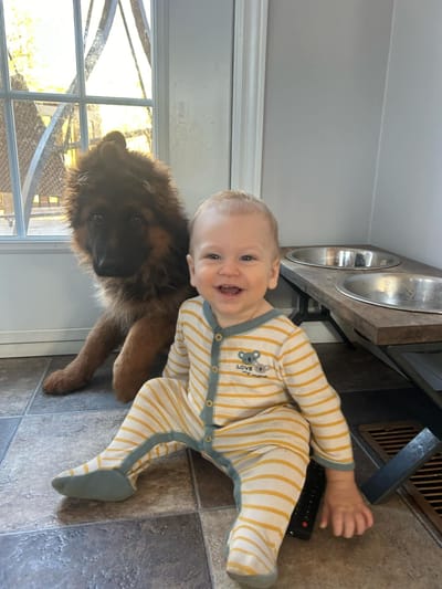 PUPPY INFORMATION ! image