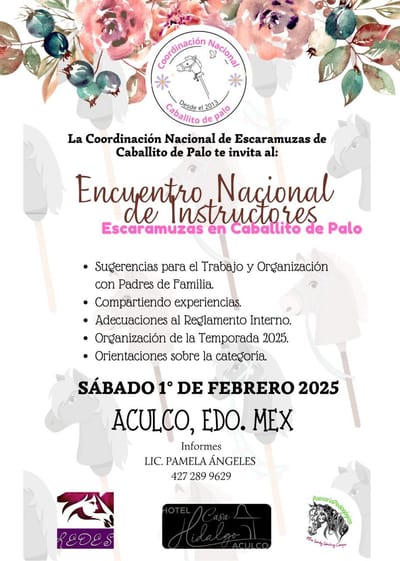 Encuentro Nacional de instructores Caballito de palo