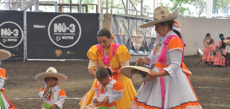 Inscripciones Encuentro Nacional Caballito de Palo