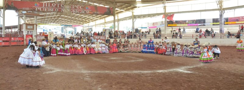 13 AÑOS DE HISTORIA DECABALLITO DE PALO