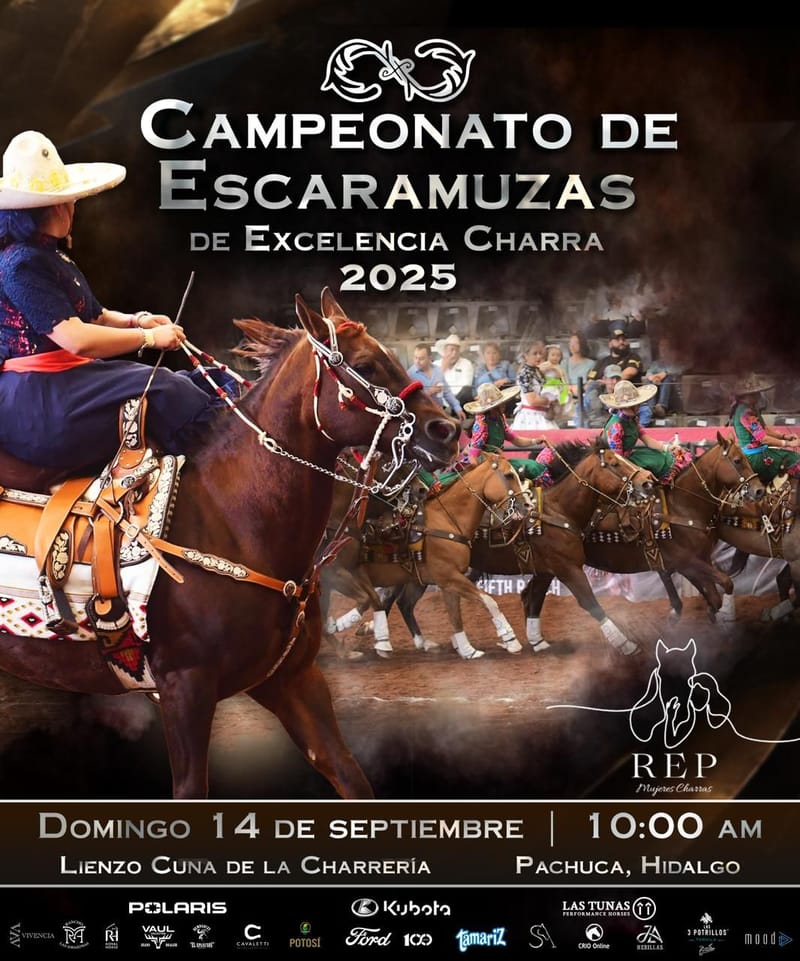 Equipos Excelencia 2025