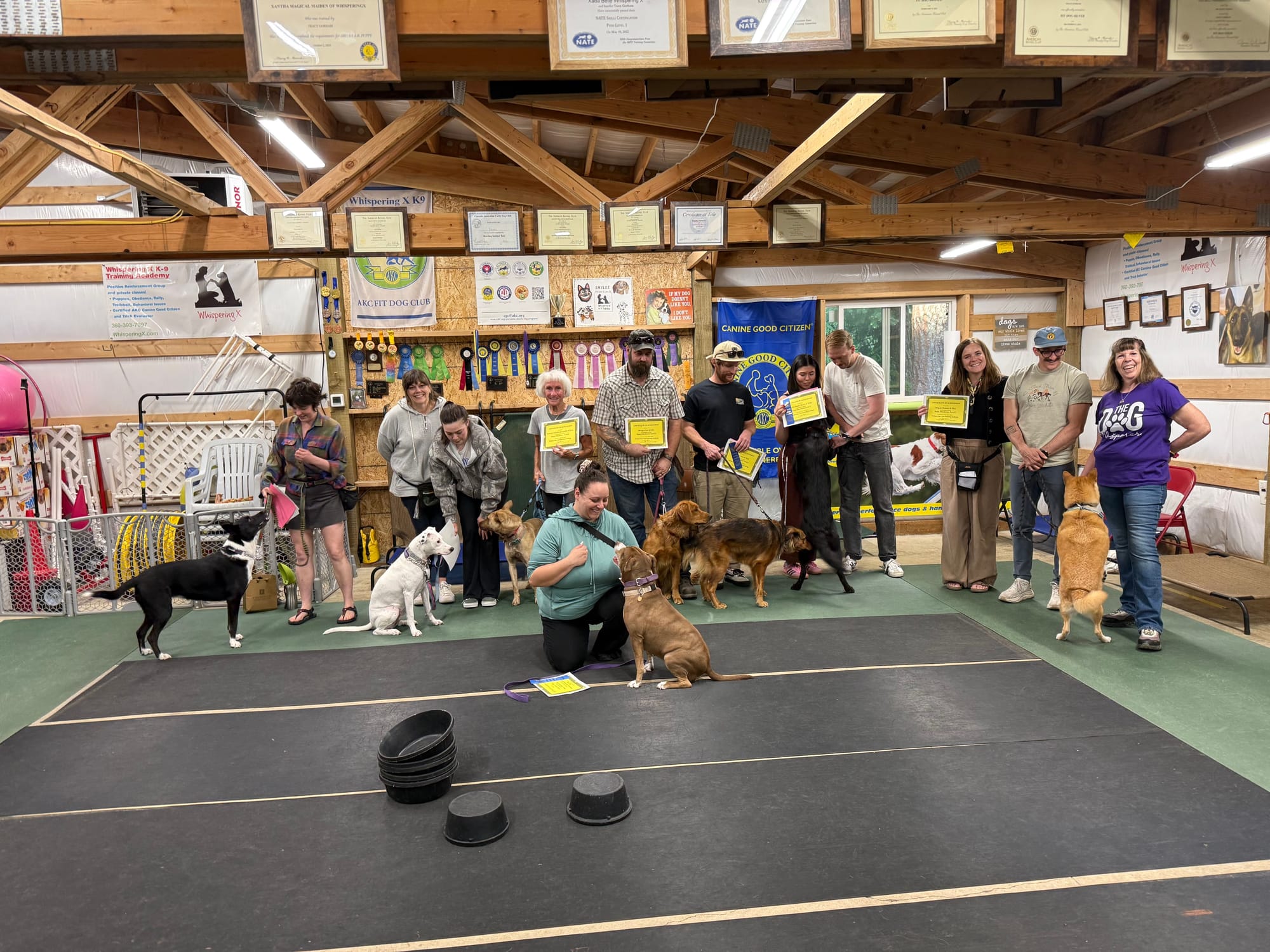 May 2026 - Lilly, Delta, Max, Piper, River, Evie, Cricket, and Willow