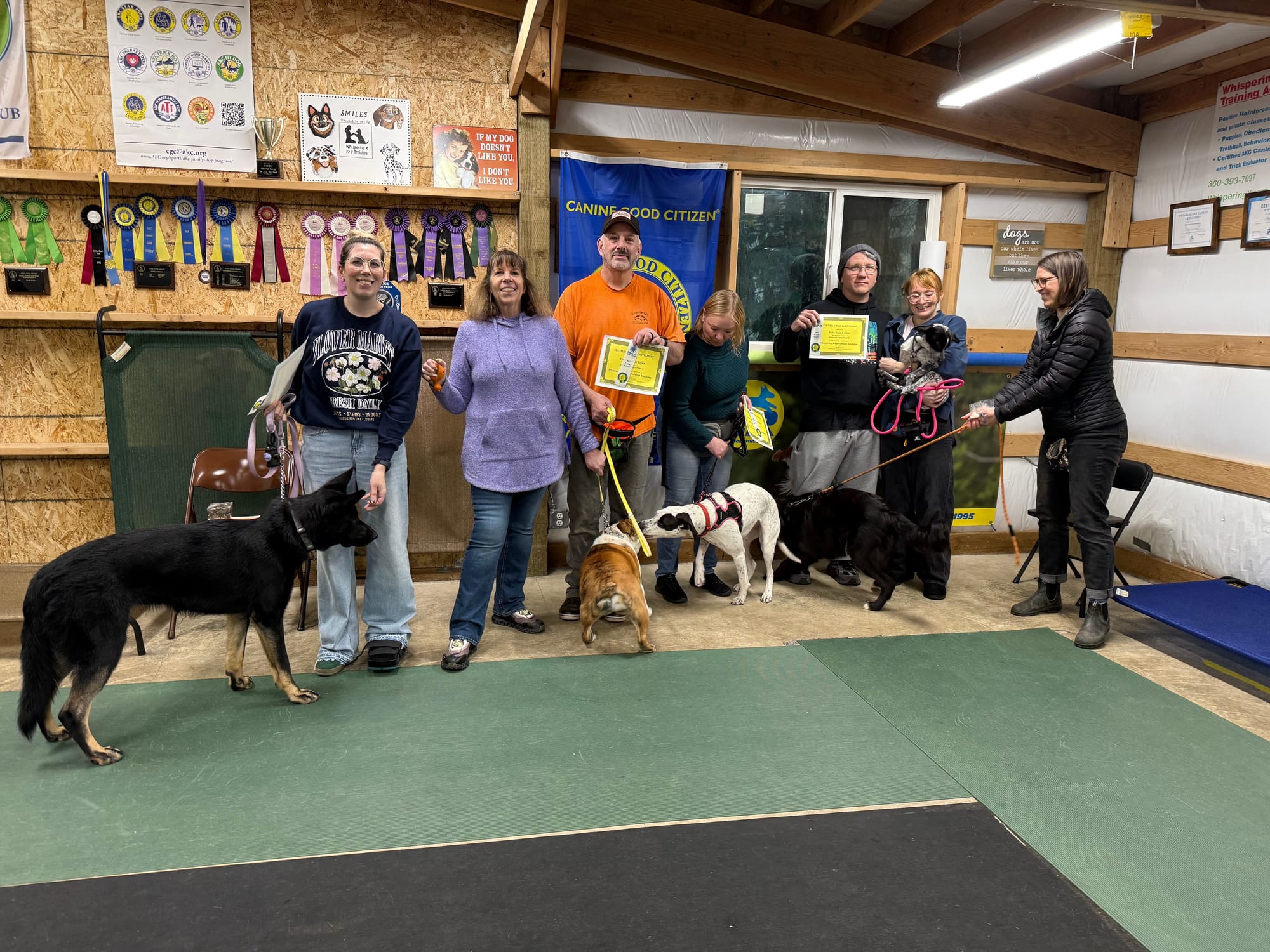 March 2026 - Piper, Olive, Josie, Disco, and Juno