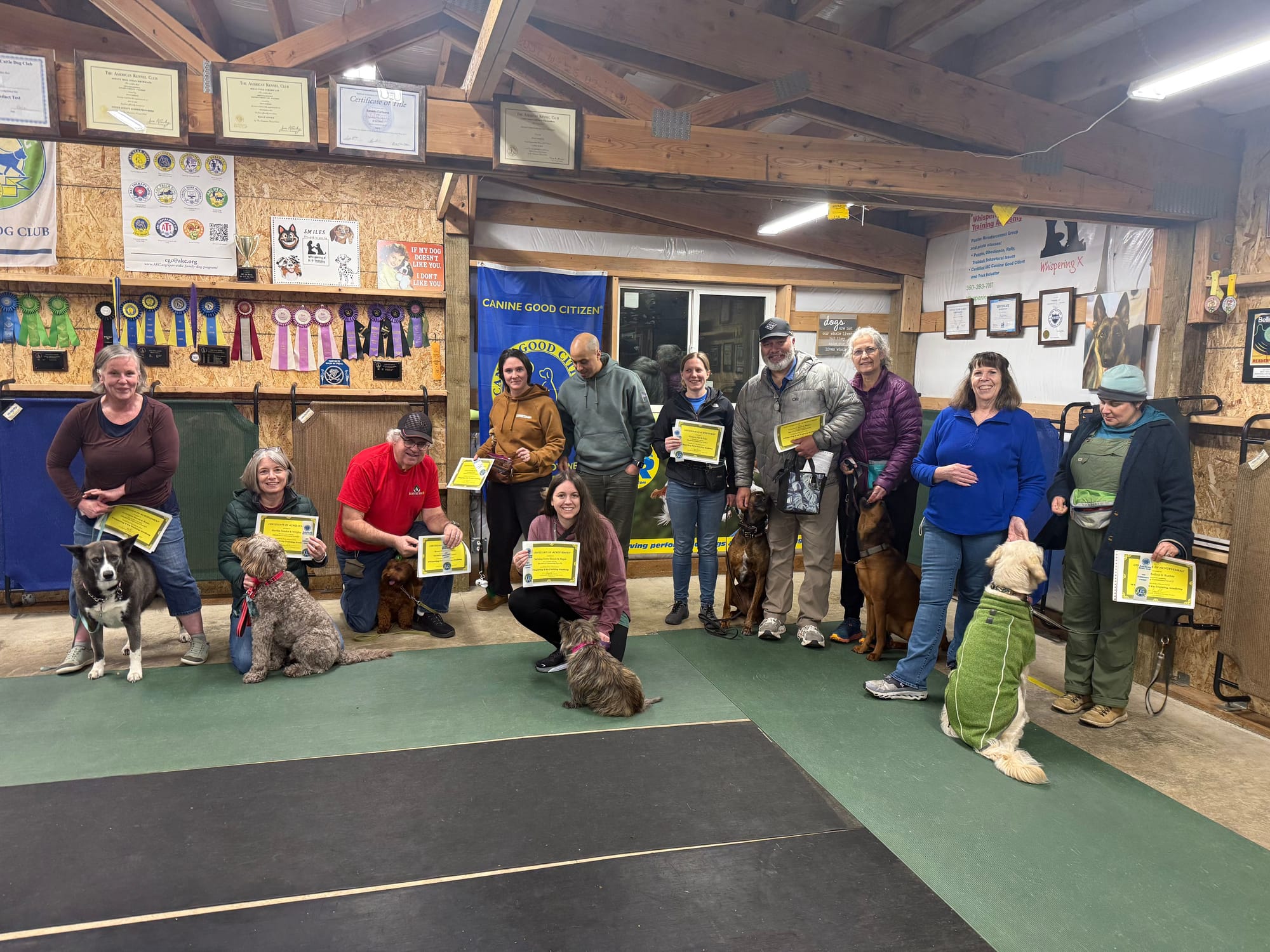 March 2026 - Rosie, Zoja, Wrigley, Moku, Ruthie, Peach, Maple, and Daisy