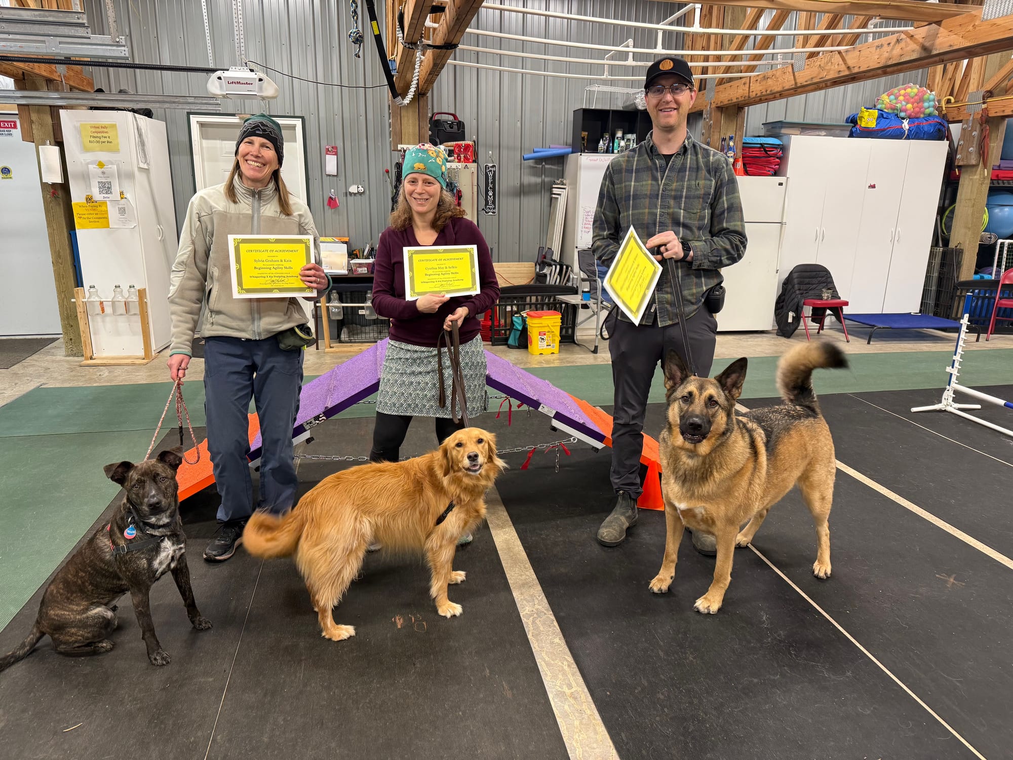 December 2025 - Bruce, Topo, Nugget, Selkie, Kaia