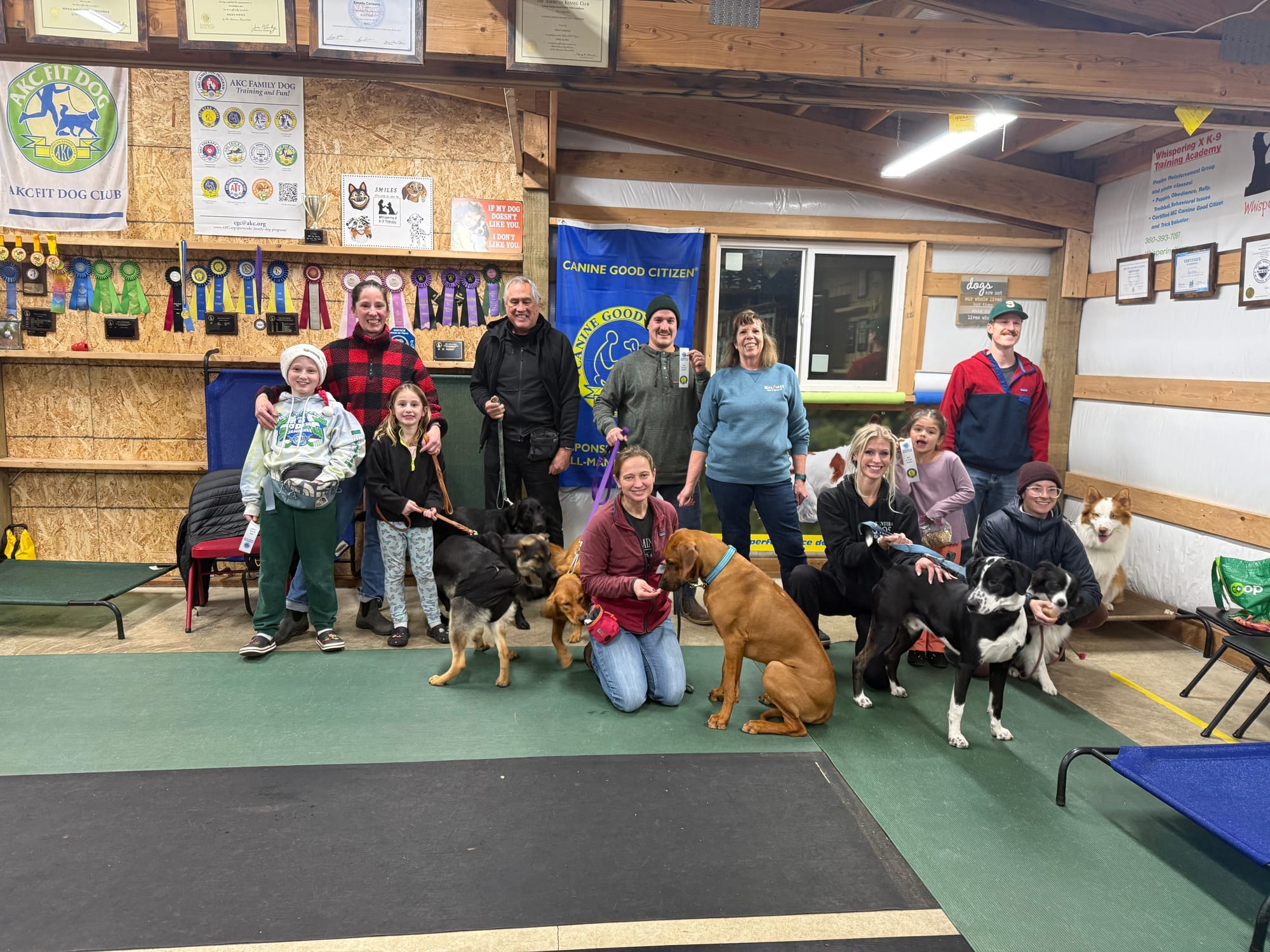December 2025 - Archie, Mabel, Frankie, Skipper, Maizey, Sadie, Odin, Radar, Gin