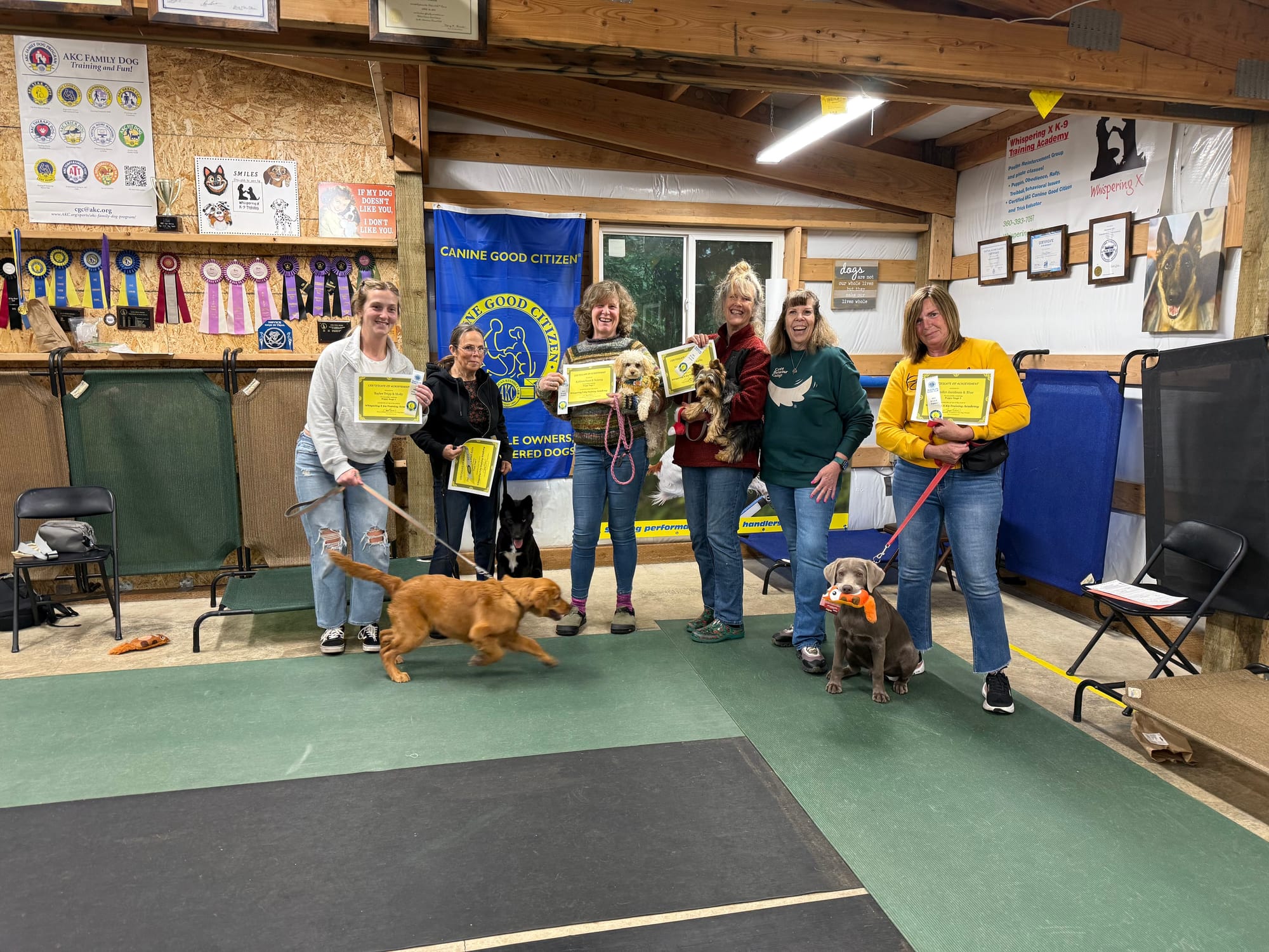 May 2026 - Nutmeg, Molly, Pearl, Blue, and Charley