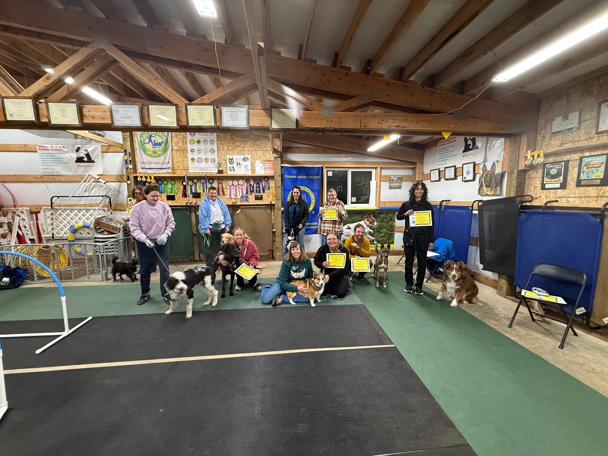 May 2026 - Echo, Watson, Milo, Cooper, Quill, Louise, Maverick, Percy, and Baxter