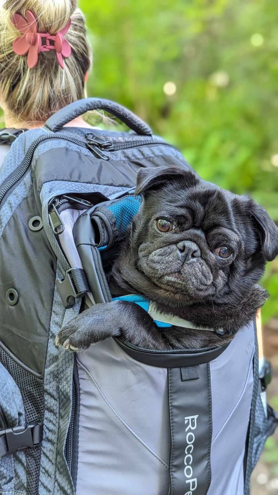 Whatcom falls park group walk May 18, 2024