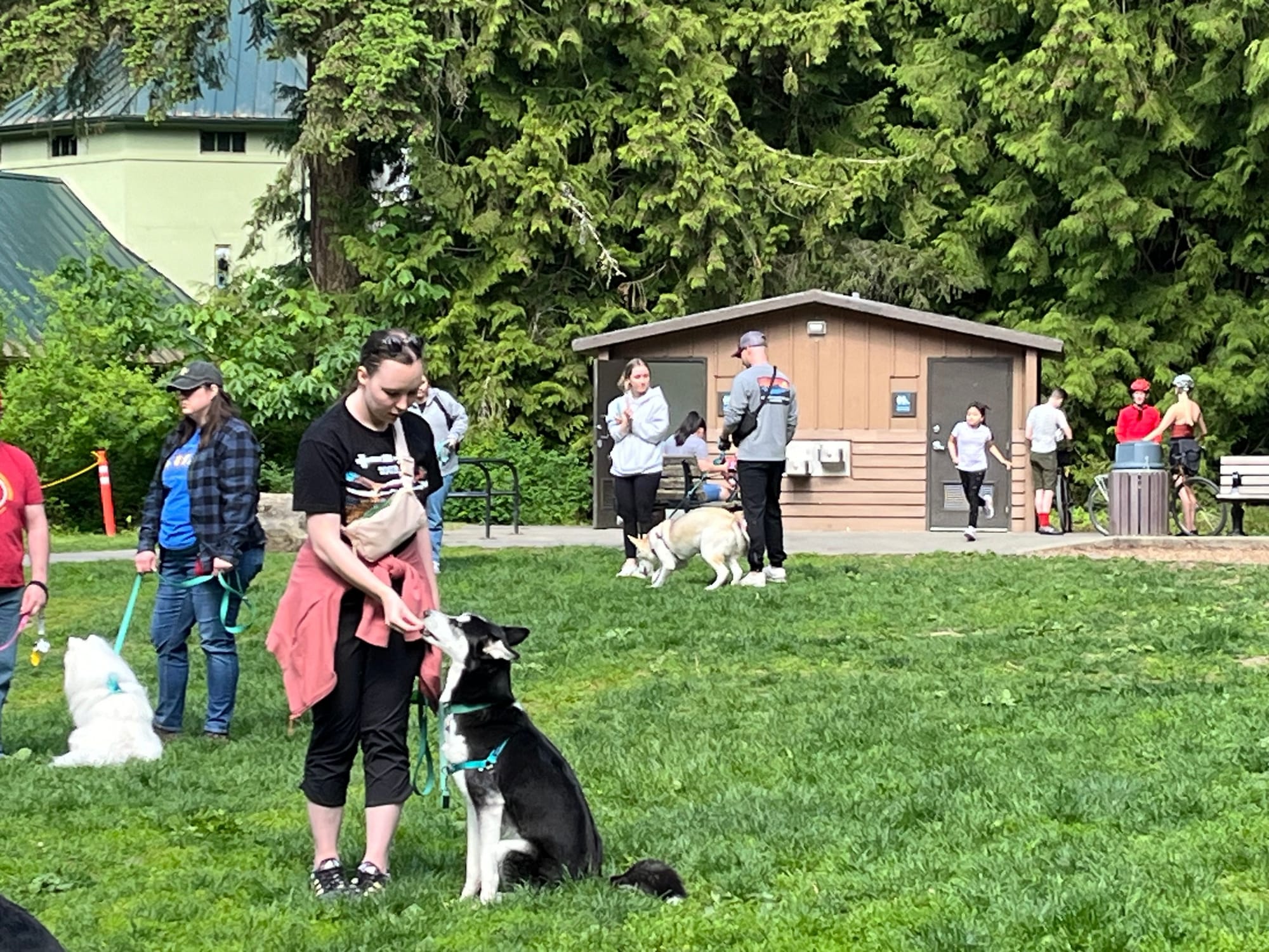 Whatcom falls park group walk May 18, 2024