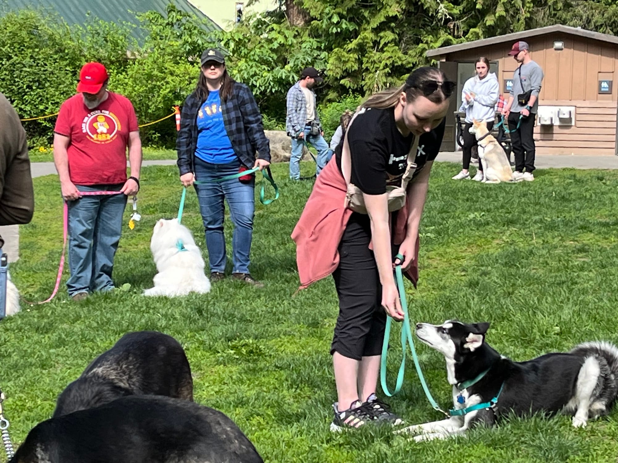 Whatcom falls park group walk May 18, 2024