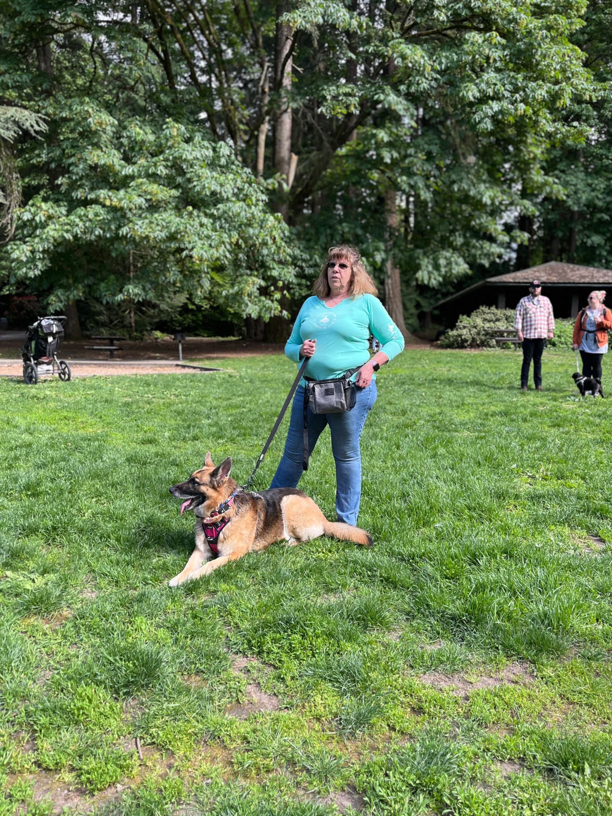 Whatcom falls park group walk May 18, 2024 - Largest group 25 dogs