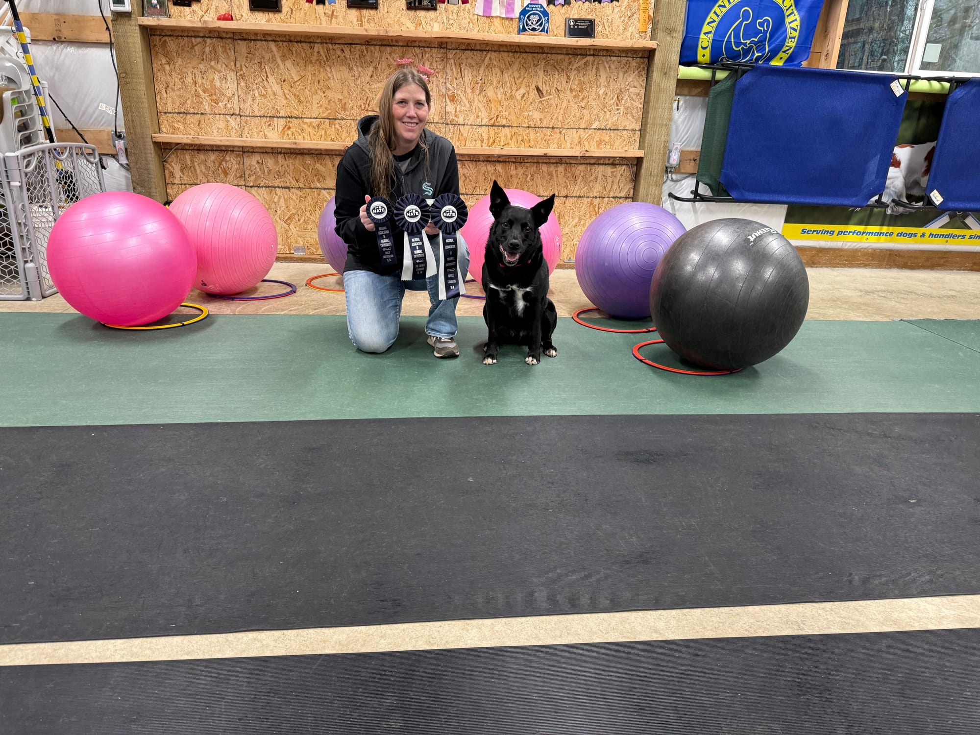 Marsha and Bumi skills and Novice awards January 2, 2026