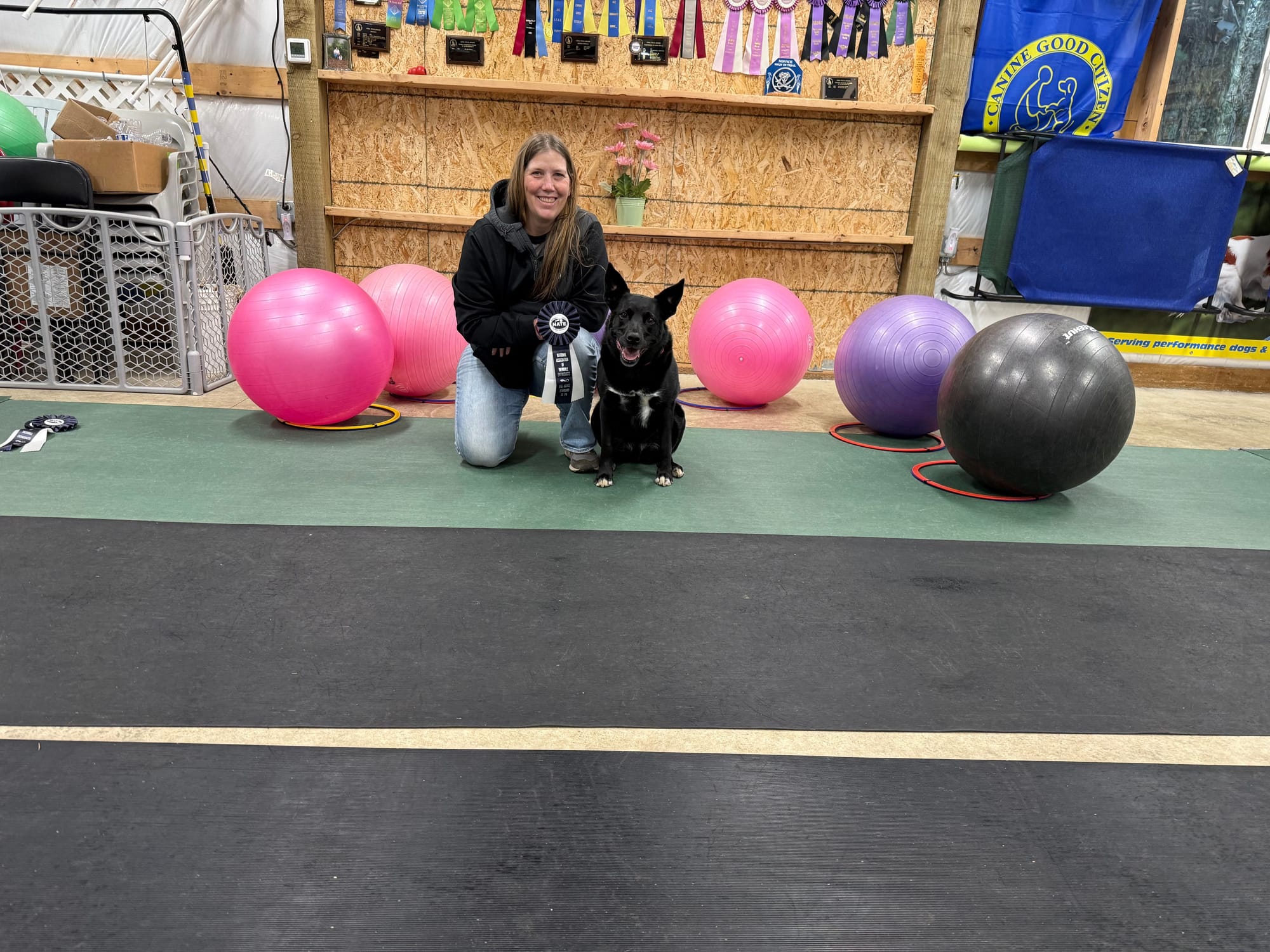 Marsha and Bumi skills and Novice awards January 2, 2026