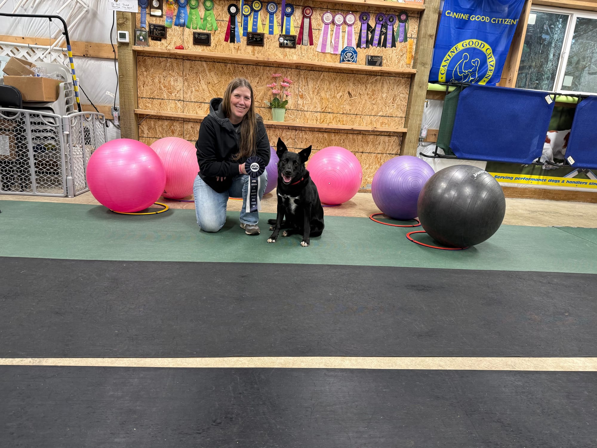 Marsha and Bumi skills and Novice awards January 2, 2026