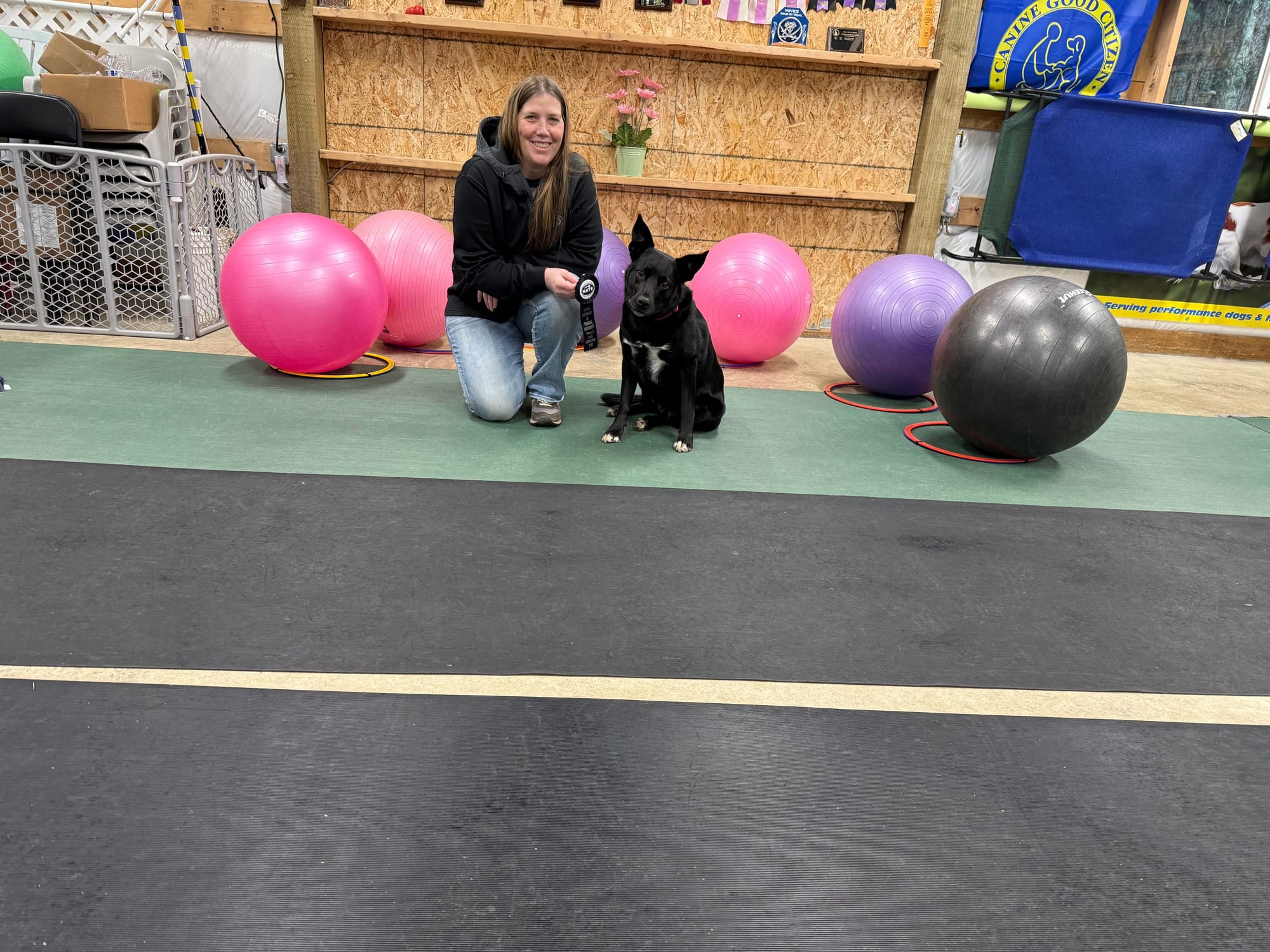 Marsha and Bumi skills and Novice awards January 2, 2026