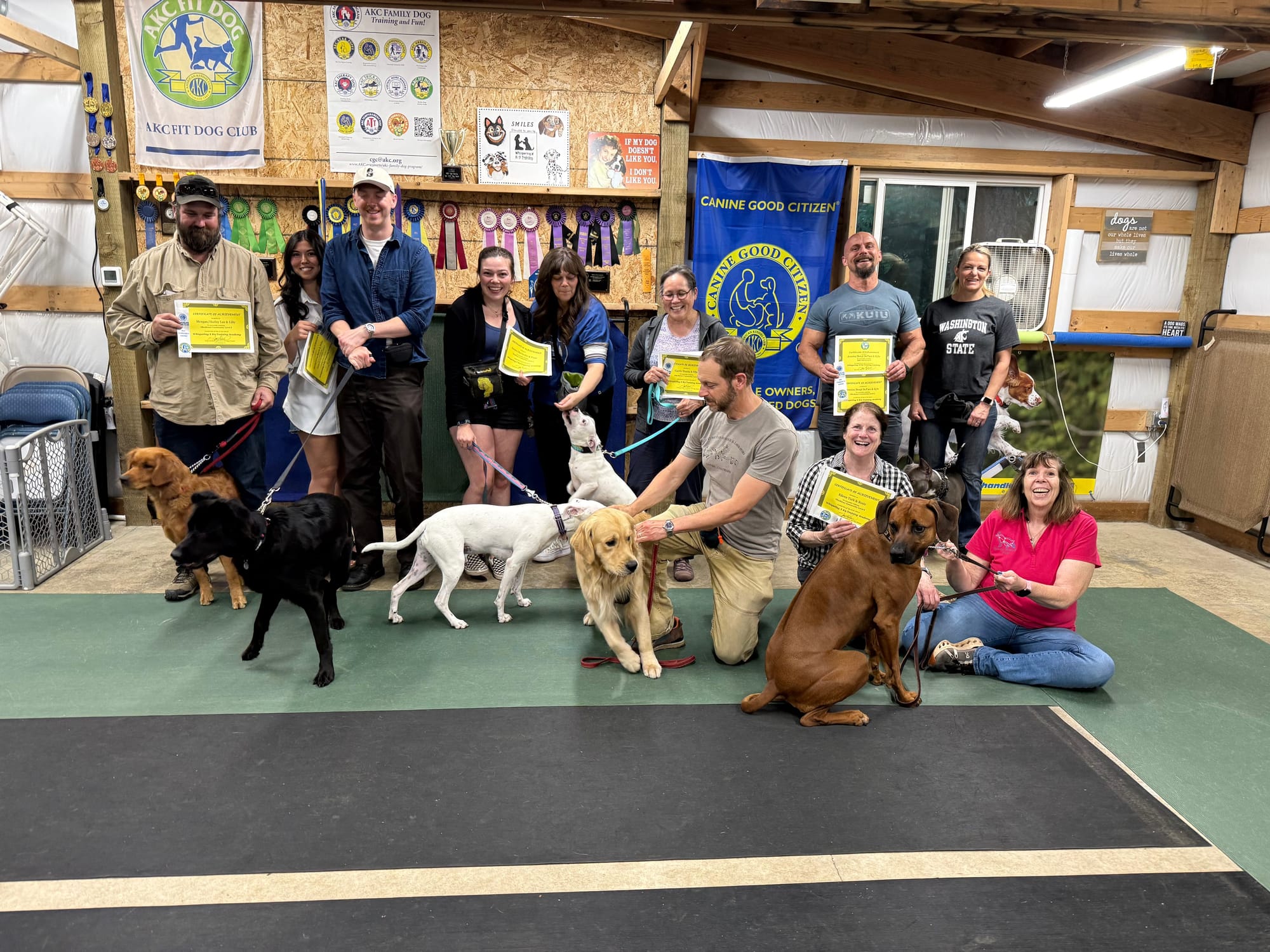 July 2026 - Piper, Rosie, Ellie, Delta, Kyle, Harpo, Lilly