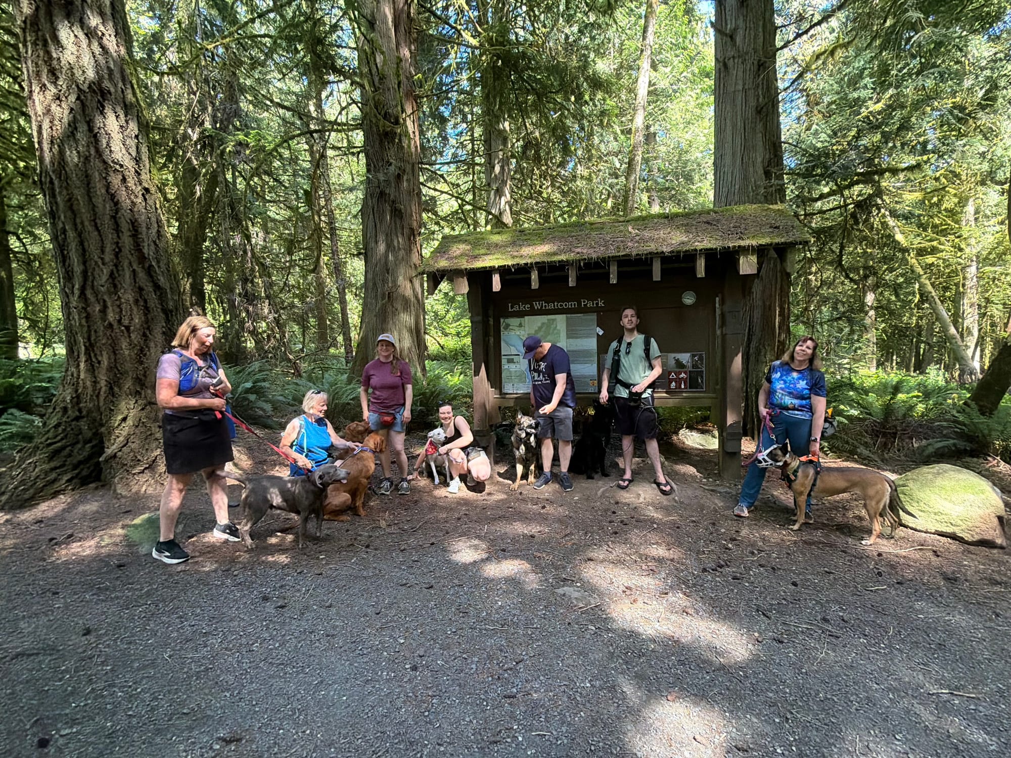 June 2026 - Blue, Helen, Thea, Piper, Freya, Shadow, and Xantha